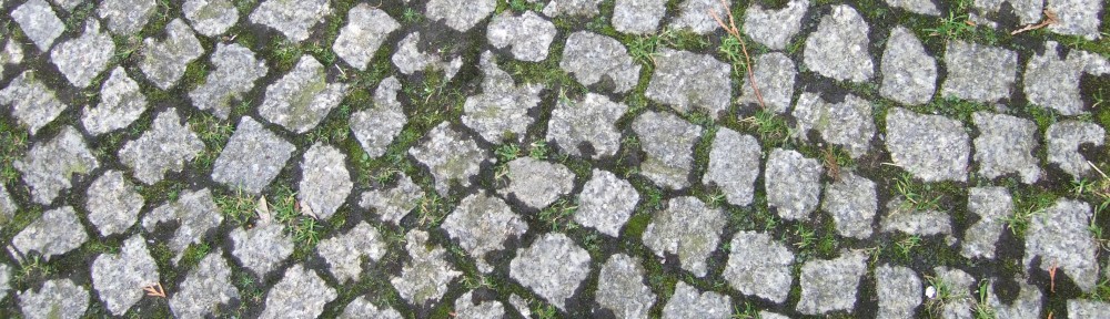 Kooperationen und Partner